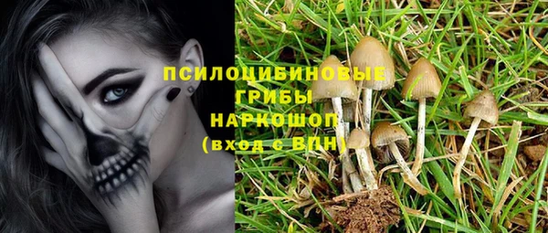 spice Дмитриев