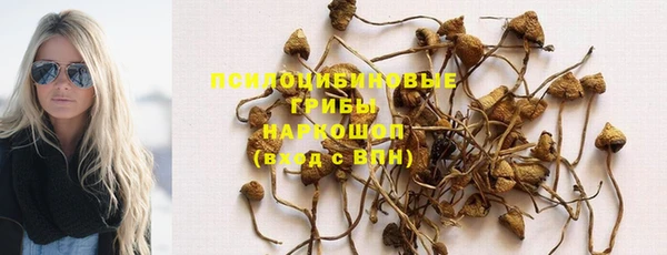 гашик Беломорск